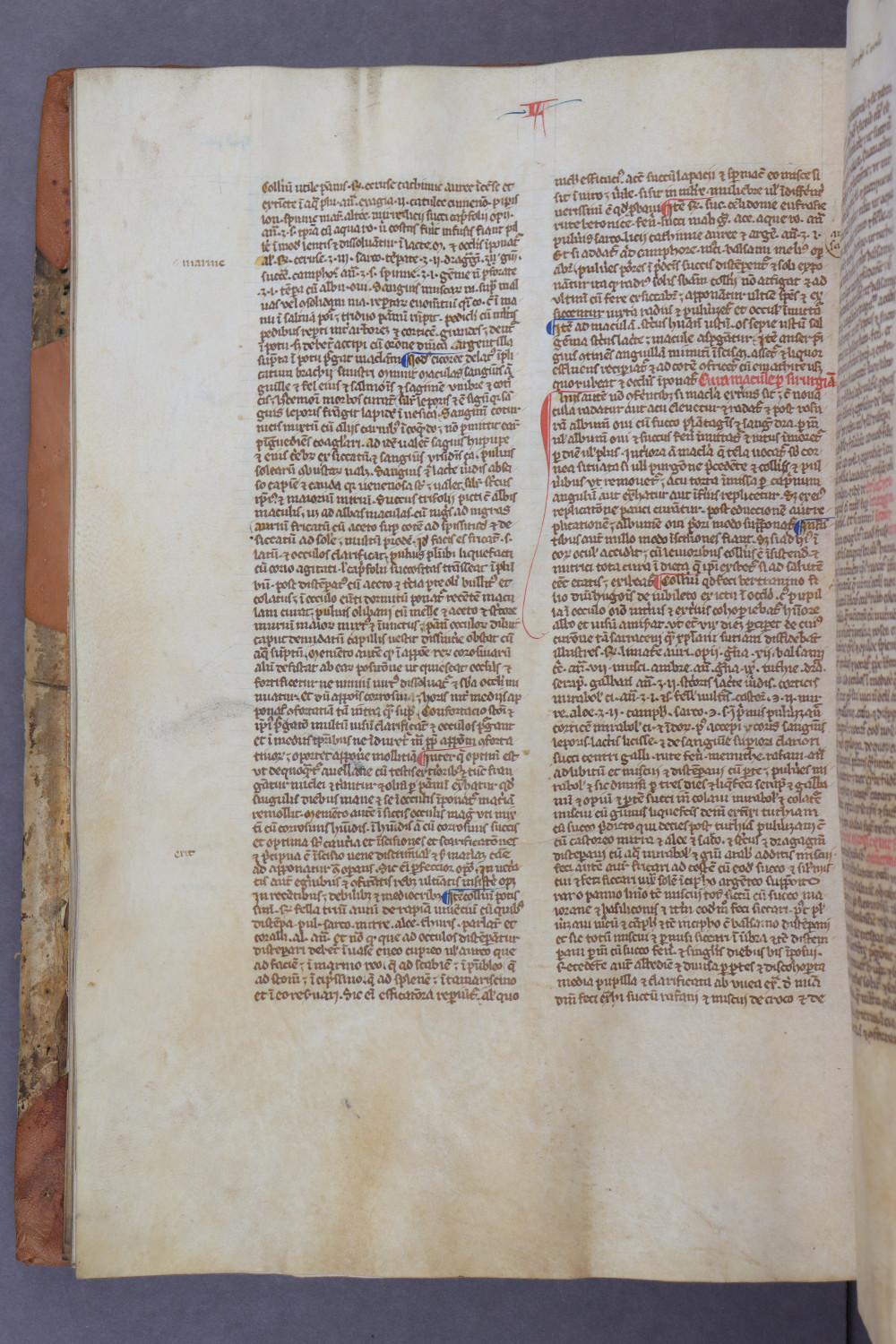 Folio 62 verso